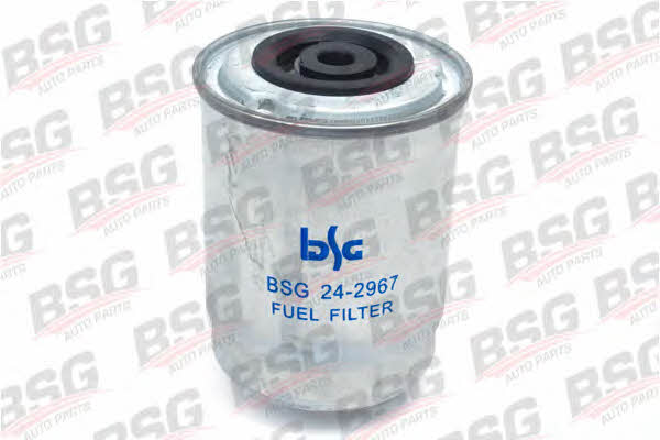 BSG 30-130-002 Fuel filter 30130002