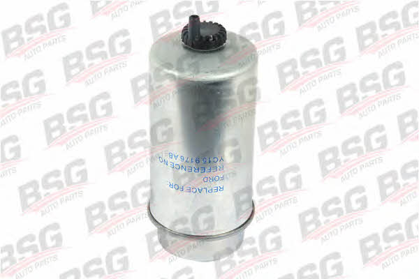 BSG 30-130-003 Fuel filter 30130003