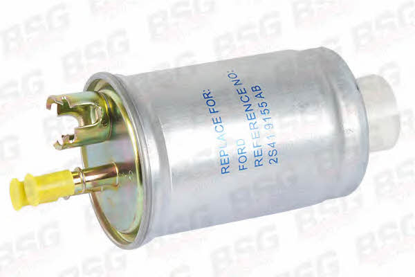 BSG 30-130-005 Fuel filter 30130005