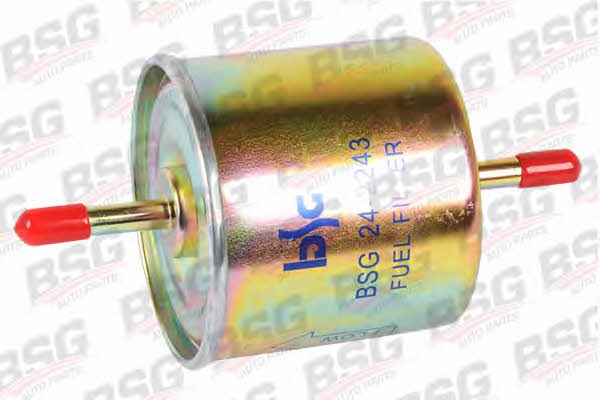 BSG 30-130-008 Fuel filter 30130008