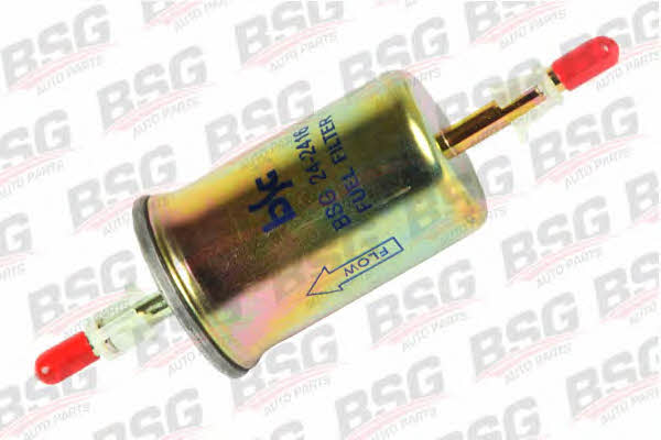 BSG 30-130-009 Fuel filter 30130009