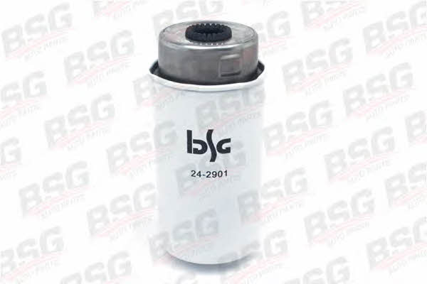 BSG 30-130-011 Fuel filter 30130011