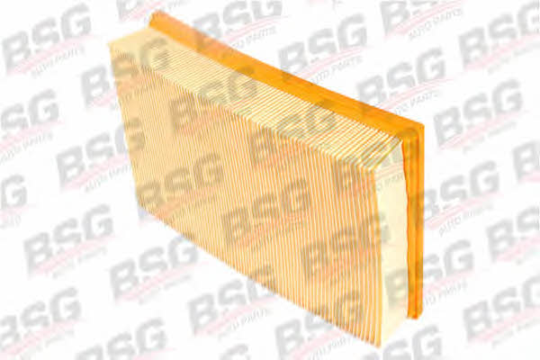 BSG 30-135-004 Air filter 30135004