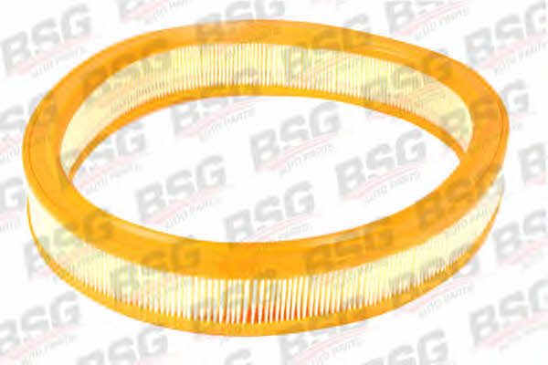 BSG 30-135-008 Air filter 30135008