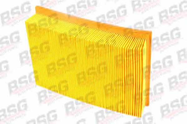BSG 30-135-009 Air filter 30135009