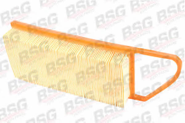 BSG 30-135-012 Air filter 30135012