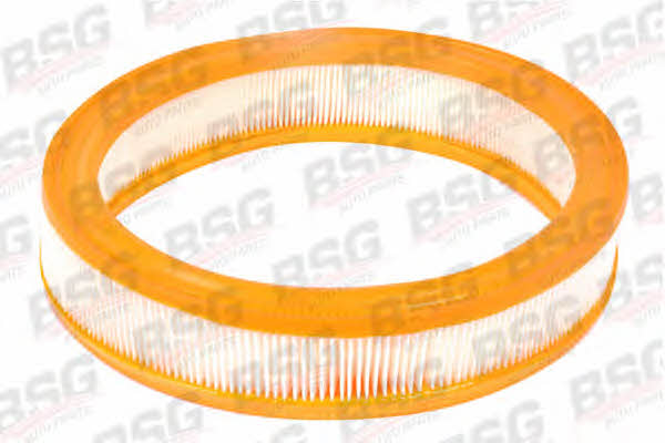 BSG 30-135-013 Air filter 30135013