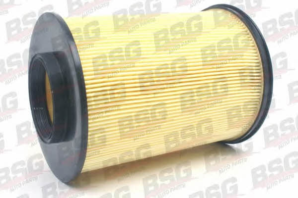 BSG 30-135-014 Air filter 30135014