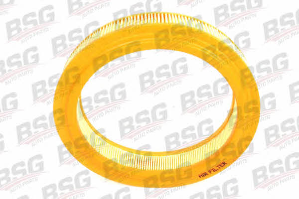 BSG 30-135-022 Air filter 30135022