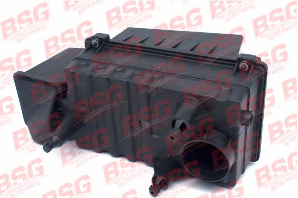 BSG 30-137-001 Air compressor filter 30137001