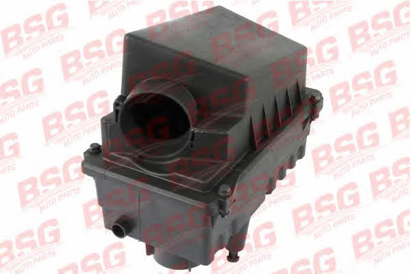 BSG 30-137-002 Air compressor filter 30137002