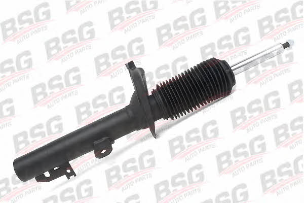 BSG 30-300-011 Front oil and gas suspension shock absorber 30300011