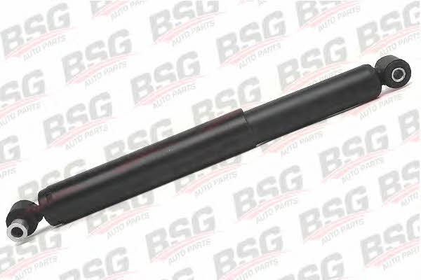 BSG 30-300-012 Rear oil and gas suspension shock absorber 30300012