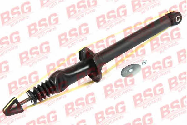 BSG 30-300-017 Rear oil and gas suspension shock absorber 30300017