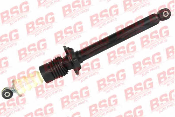 BSG 30-300-019 Rear oil and gas suspension shock absorber 30300019