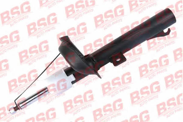 BSG 30-300-020 Shock absorber assy 30300020