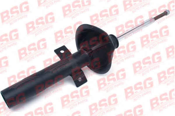 BSG 30-300-023 Front oil and gas suspension shock absorber 30300023