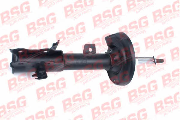 BSG 30-300-030 Shock absorber assy 30300030