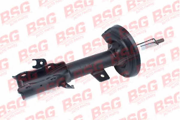 BSG 30-300-031 Shock absorber assy 30300031