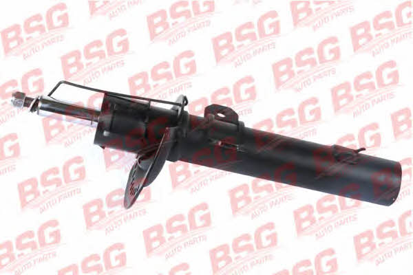 BSG 30-300-039 Front oil and gas suspension shock absorber 30300039