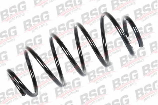 BSG 30-305-023 Suspension spring front 30305023