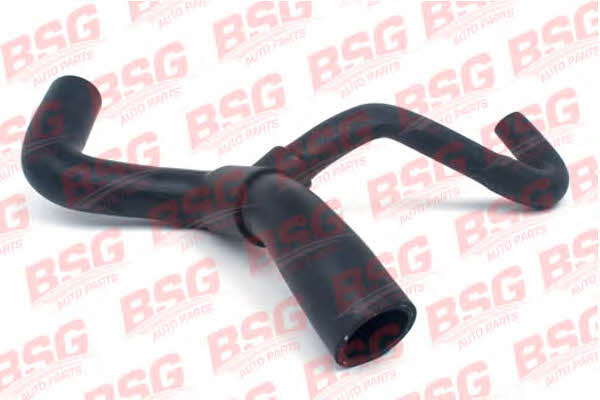 BSG 30-720-058 Refrigerant pipe 30720058