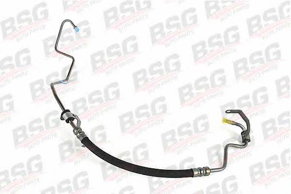 BSG 30-725-038 High pressure hose with ferrules 30725038