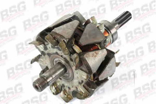 BSG 30-826-008 Rotor generator 30826008