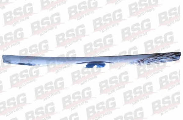 BSG 30-922-006 Hood seal 30922006