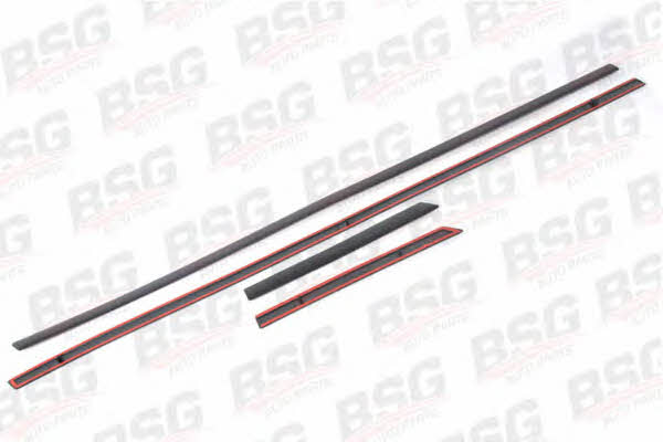 BSG 30-924-019 Trim/Protective Strip, door 30924019