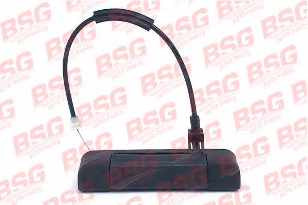 BSG 30-970-010 Handle-assist 30970010