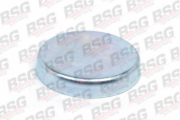 BSG 30-971-004 Sealing protective plug 30971004