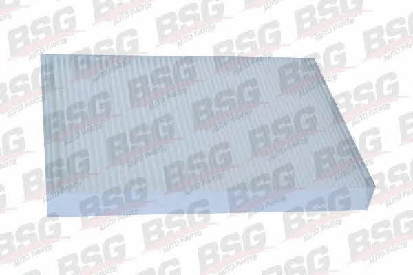 BSG 60-145-001 Filter, interior air 60145001