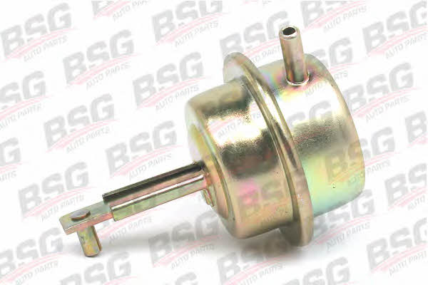 BSG 60-840-020 Injection pump valve 60840020