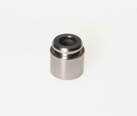 Budweg 232805 Brake caliper piston 232805