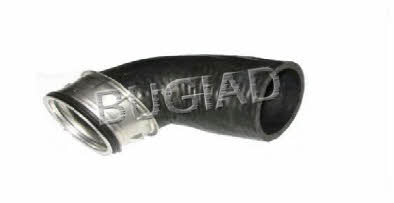 Bugiad 82653 Charger Air Hose 82653