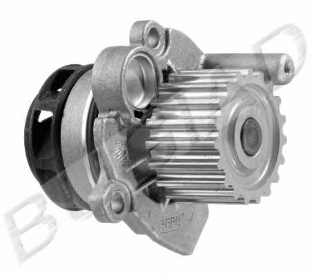 Bugiad BSP20436 Water pump BSP20436