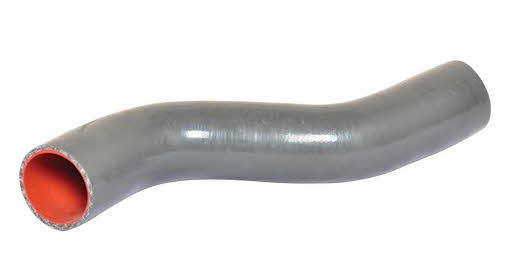 Bugiad 88766 Charger Air Hose 88766