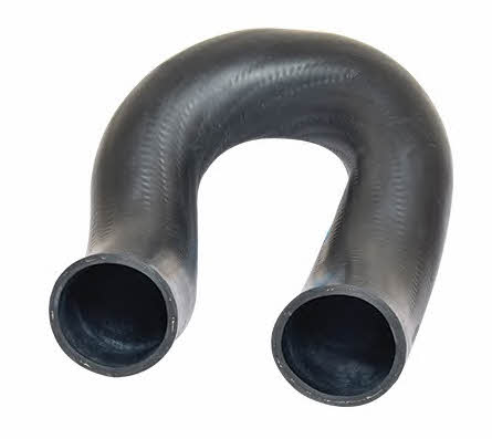 Bugiad 88653 Charger Air Hose 88653