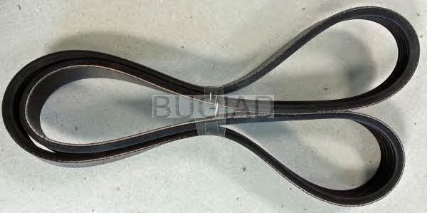 Bugiad BSP23196 V-ribbed belt 6PK1050 BSP23196