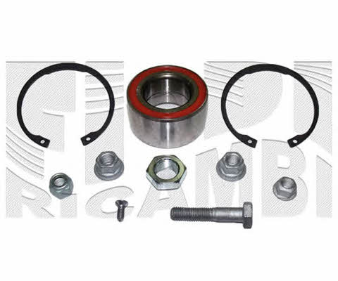 Caliber RC1010 Wheel bearing kit RC1010