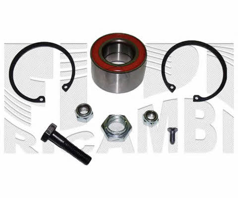 Caliber RC1018 Wheel bearing kit RC1018