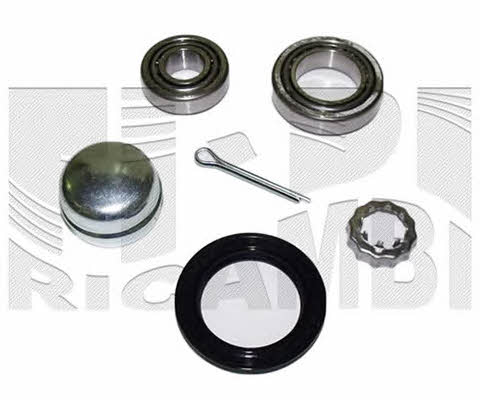 Caliber RC1023 Wheel bearing kit RC1023