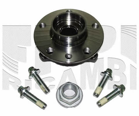 Caliber RC1036 Wheel bearing kit RC1036