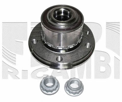 Caliber RC1076 Wheel hub with bearing RC1076