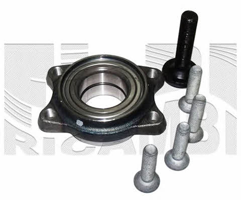 Caliber RC1078 Wheel bearing kit RC1078