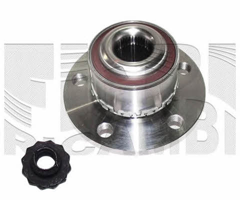 Caliber RC1086 Wheel bearing kit RC1086