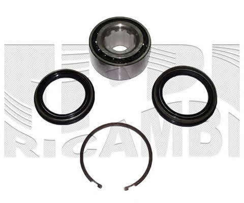 Caliber RC1303 Wheel bearing kit RC1303
