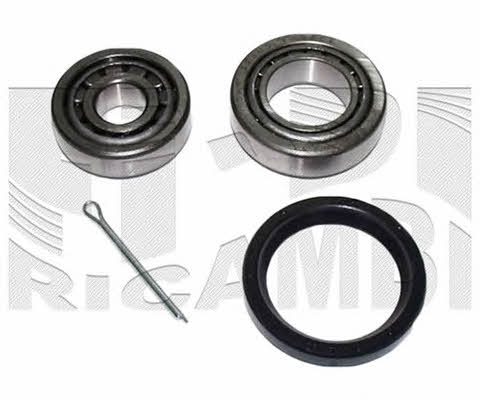 Caliber RC1320 Wheel bearing kit RC1320