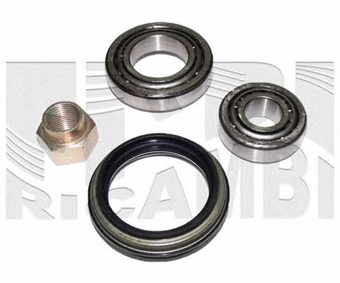 Caliber RC1336 Wheel bearing kit RC1336